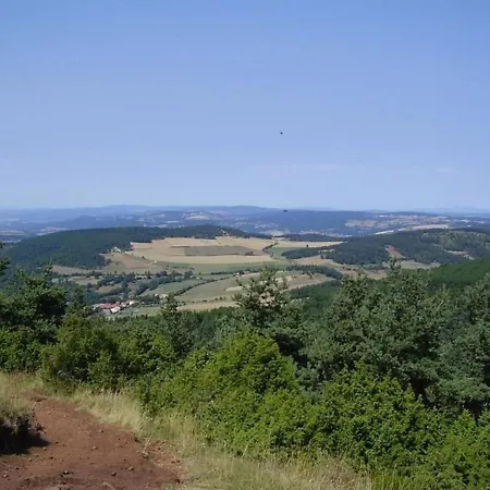 Ferme Renovee Avec Espace Bien-etre, Proche Des Gorges De L'allier Et Chemins De Compostelle - Fr-1-582-402 Bed & Breakfast *